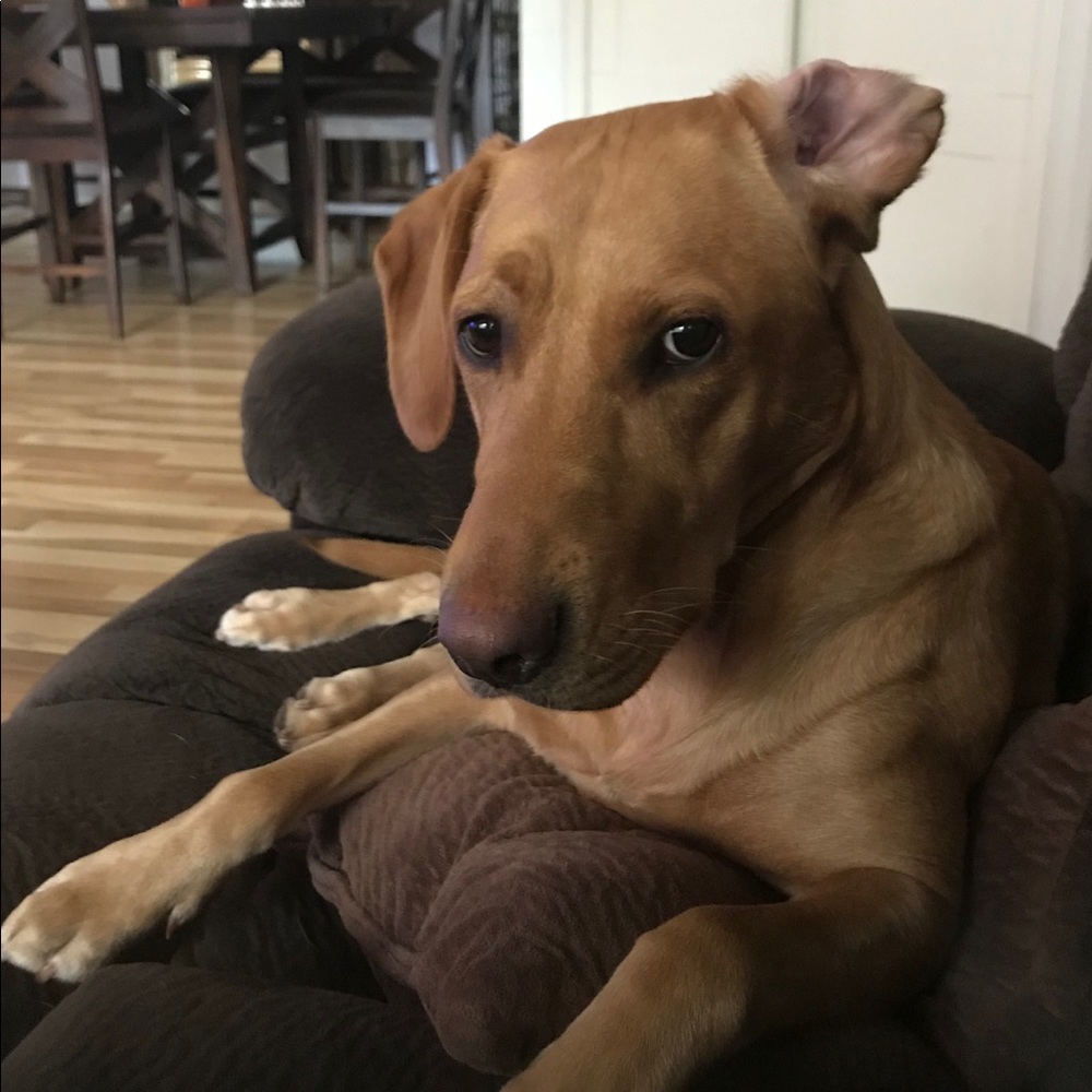 Meet your Posher, Kristen